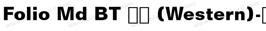 Folio Md BT 普通 (Western)字体转换